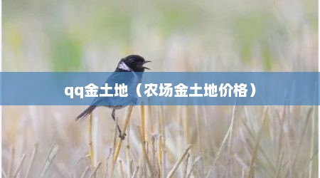 qq金土地（农场金土地价格）