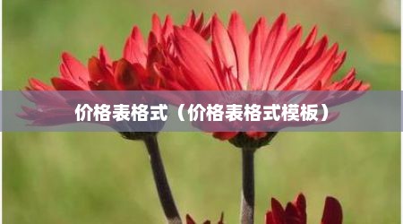 价格表格式（价格表格式模板）