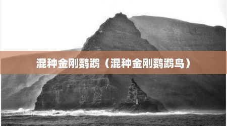 混种金刚鹦鹉（混种金刚鹦鹉鸟）