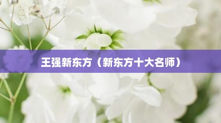 王强新东方（新东方十大名师）