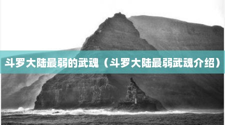 斗罗大陆最弱的武魂（斗罗大陆最弱武魂介绍）