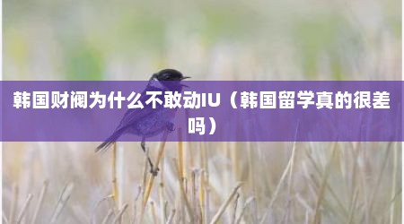 韩国财阀为什么不敢动IU（韩国留学真的很差吗）