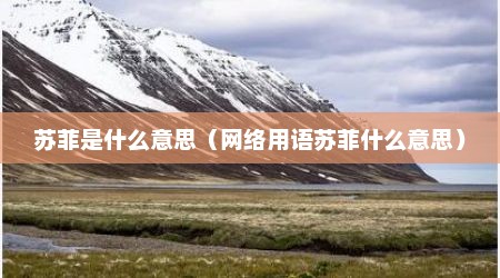 苏菲是什么意思（网络用语苏菲什么意思）