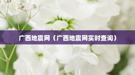 广西地震网（广西地震网实时查询）