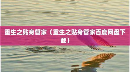 重生之贴身管家（重生之贴身管家百度网盘下载）