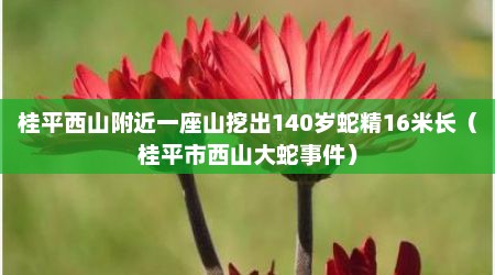桂平西山附近一座山挖出140岁蛇精16米长（桂平市西山大蛇事件）