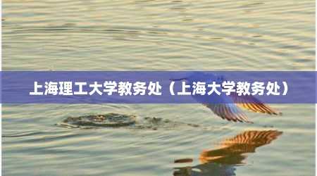 上海理工大学教务处（上海大学教务处）
