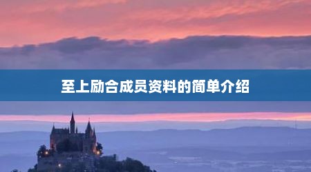 至上励合成员资料的简单介绍