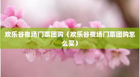 欢乐谷夜场门票团购（欢乐谷夜场门票团购怎么买）