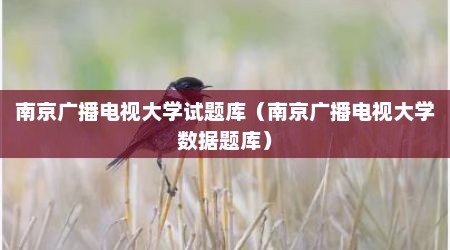 南京广播电视大学试题库（南京广播电视大学数据题库）
