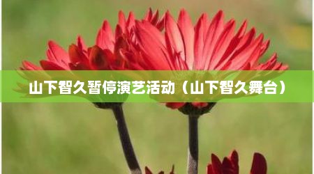 山下智久暂停演艺活动（山下智久舞台）