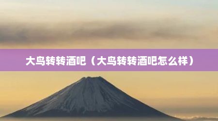 大鸟转转酒吧（大鸟转转酒吧怎么样）