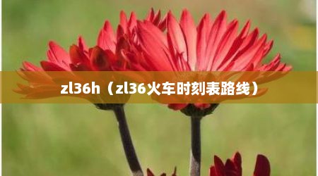 zl36h（zl36火车时刻表路线）