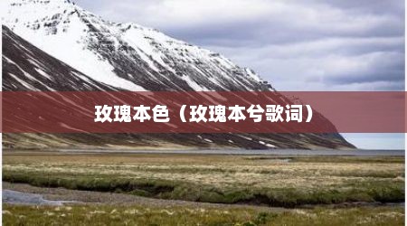 玫瑰本色（玫瑰本兮歌词）