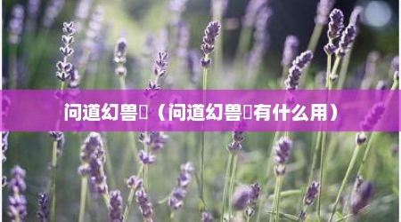 问道幻兽玦（问道幻兽玦有什么用）
