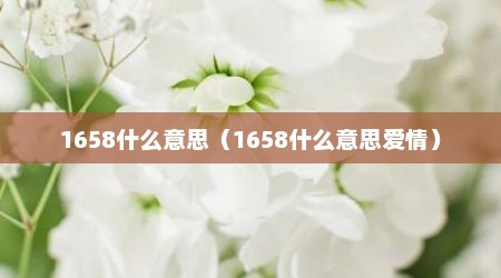 1658什么意思（1658什么意思爱情）