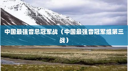 中国最强音总冠军战（中国最强音冠军组第三战）
