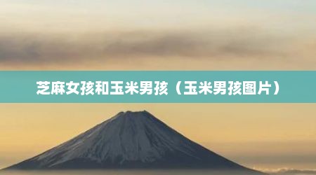 芝麻女孩和玉米男孩（玉米男孩图片）