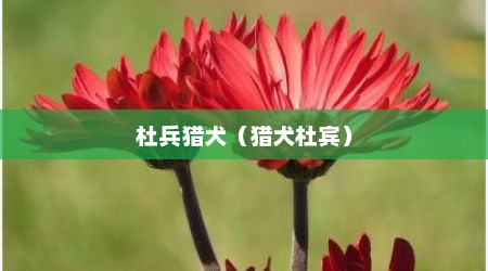 杜兵猎犬（猎犬杜宾）