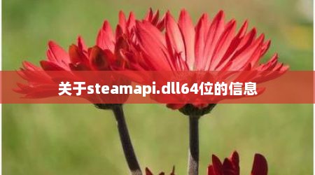 关于steamapi.dll64位的信息