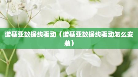 诺基亚数据线驱动（诺基亚数据线驱动怎么安装）