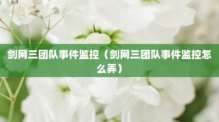 剑网三团队事件监控（剑网三团队事件监控怎么弄）