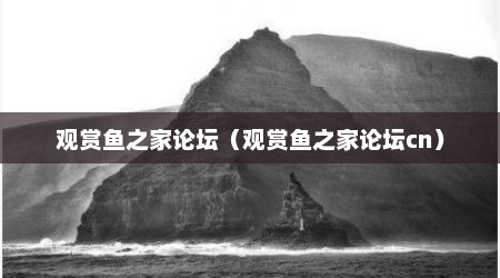 观赏鱼之家论坛（观赏鱼之家论坛cn）