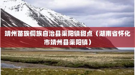 靖州苗族侗族自治县渠阳镇甜点（湖南省怀化市靖州县渠阳镇）