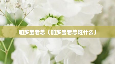加多宝老总（加多宝老总姓什么）