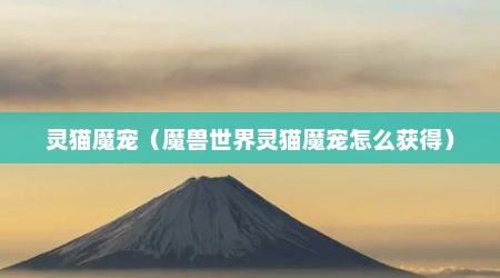 灵猫魔宠（魔兽世界灵猫魔宠怎么获得）