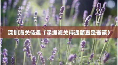深圳海关待遇（深圳海关待遇简直是奇葩）