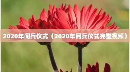 2020年阅兵仪式（2020年阅兵仪式完整视频）