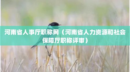 河南省人事厅职称网（河南省人力资源和社会保障厅职称评审）