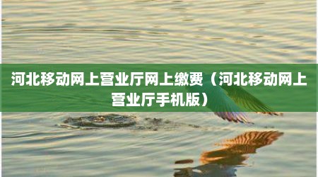 河北移动网上营业厅网上缴费（河北移动网上营业厅手机版）