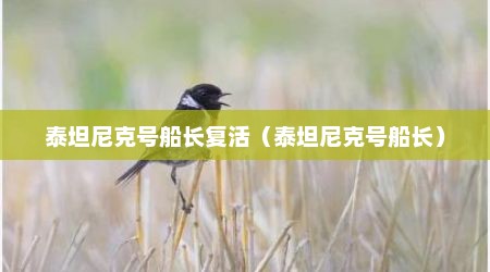 泰坦尼克号船长复活（泰坦尼克号船长）