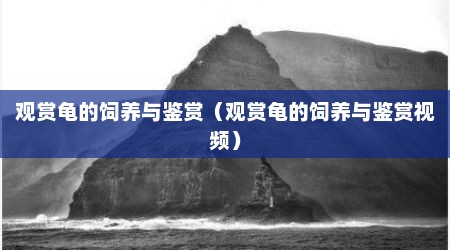 观赏龟的饲养与鉴赏（观赏龟的饲养与鉴赏视频）