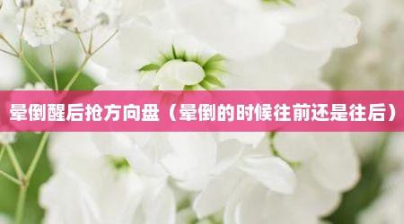 晕倒醒后抢方向盘（晕倒的时候往前还是往后）