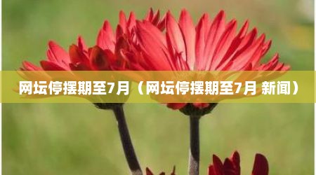网坛停摆期至7月（网坛停摆期至7月 新闻）