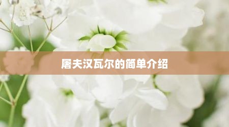屠夫汉瓦尔的简单介绍
