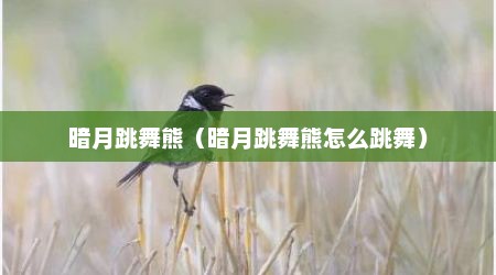 暗月跳舞熊（暗月跳舞熊怎么跳舞）
