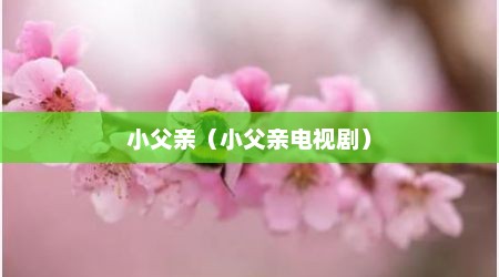 小父亲（小父亲电视剧）