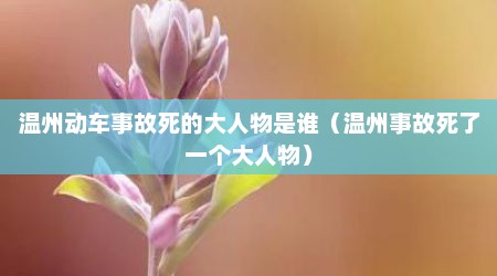 温州动车事故死的大人物是谁（温州事故死了一个大人物）