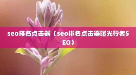 seo排名点击器（seo排名点击器曝光行者SEO）