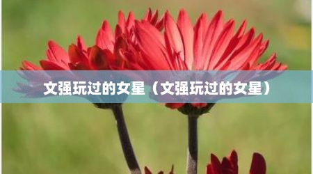 文强玩过的女星（文强玩过的女星）