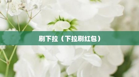 刷下拉（下拉刷红包）