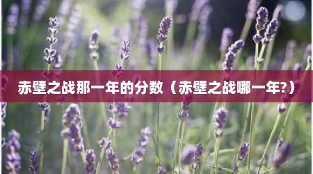 赤壁之战那一年的分数（赤壁之战哪一年?）
