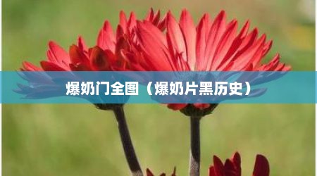 爆奶门全图（爆奶片黑历史）