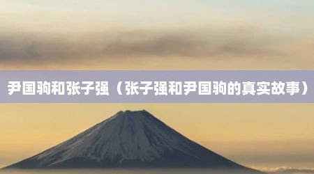 尹国驹和张子强（张子强和尹国驹的真实故事）