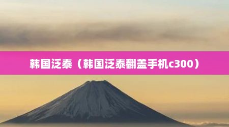 韩国泛泰（韩国泛泰翻盖手机c300）
