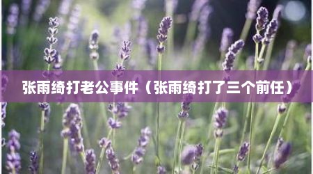 张雨绮打老公事件（张雨绮打了三个前任）